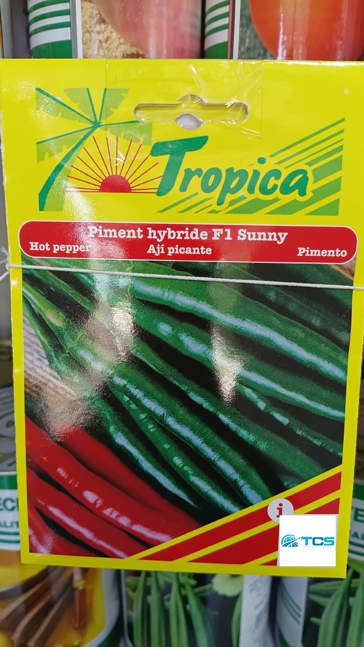 Piment hybride F1 Sunny