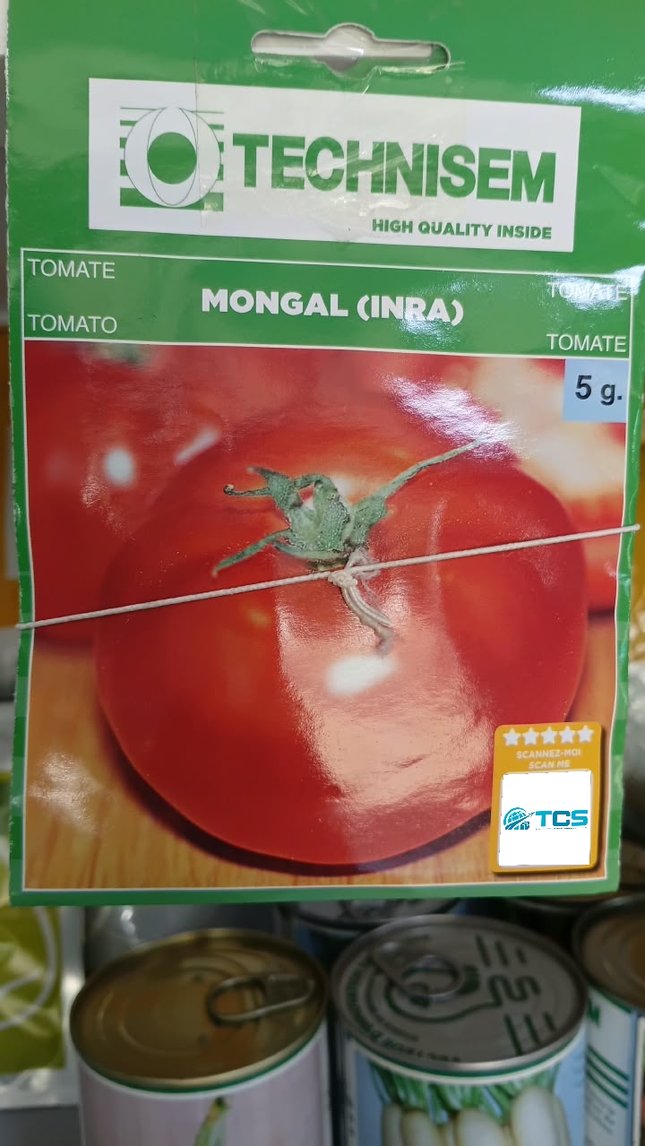 Tomate Mongal (INRA)