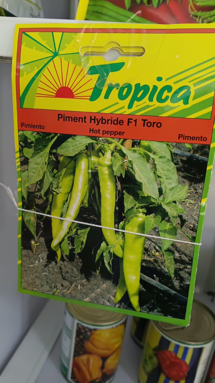 Piment hybride F1 Toro