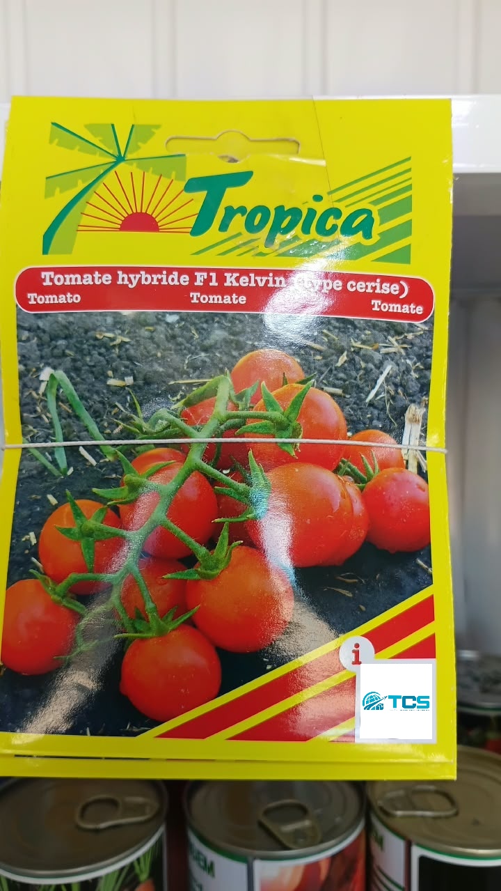 Tomate hybride F1 Kelvin (cerise)