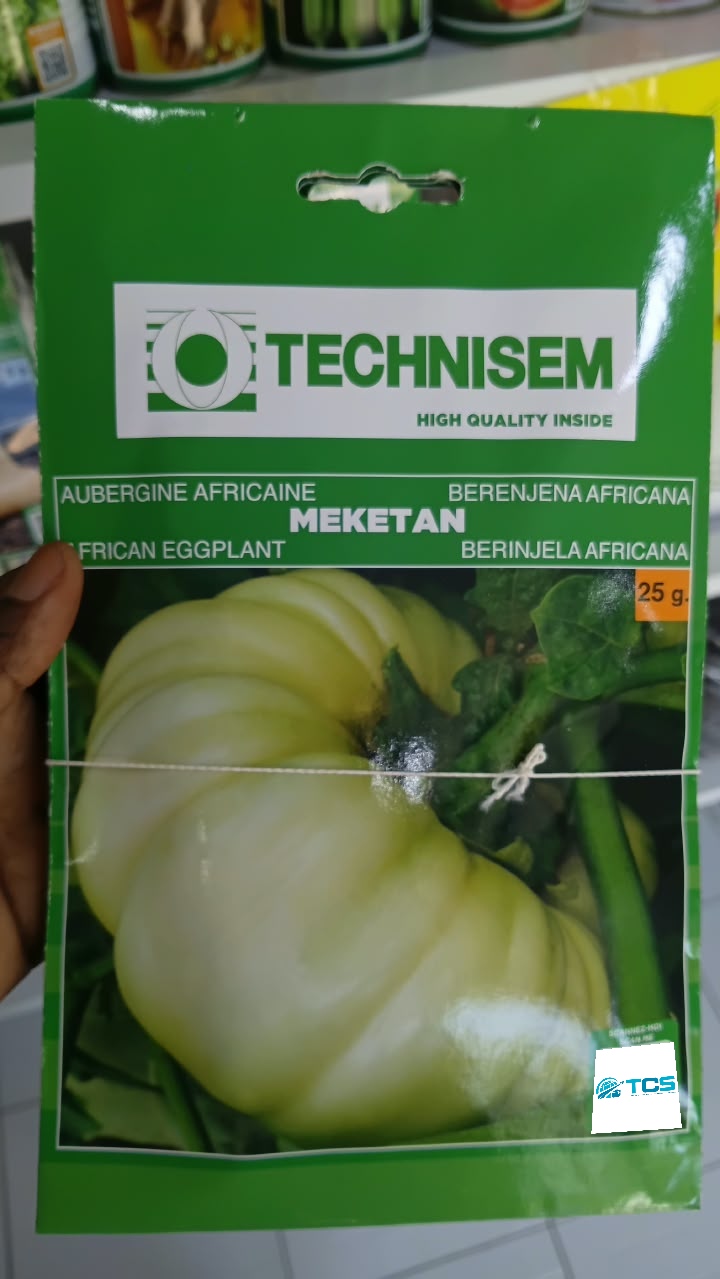 Aubergine africaine Meketan