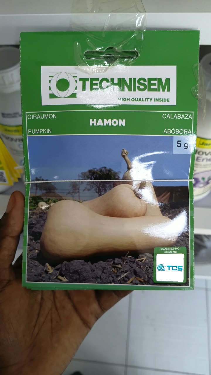 Giraumon Hamon