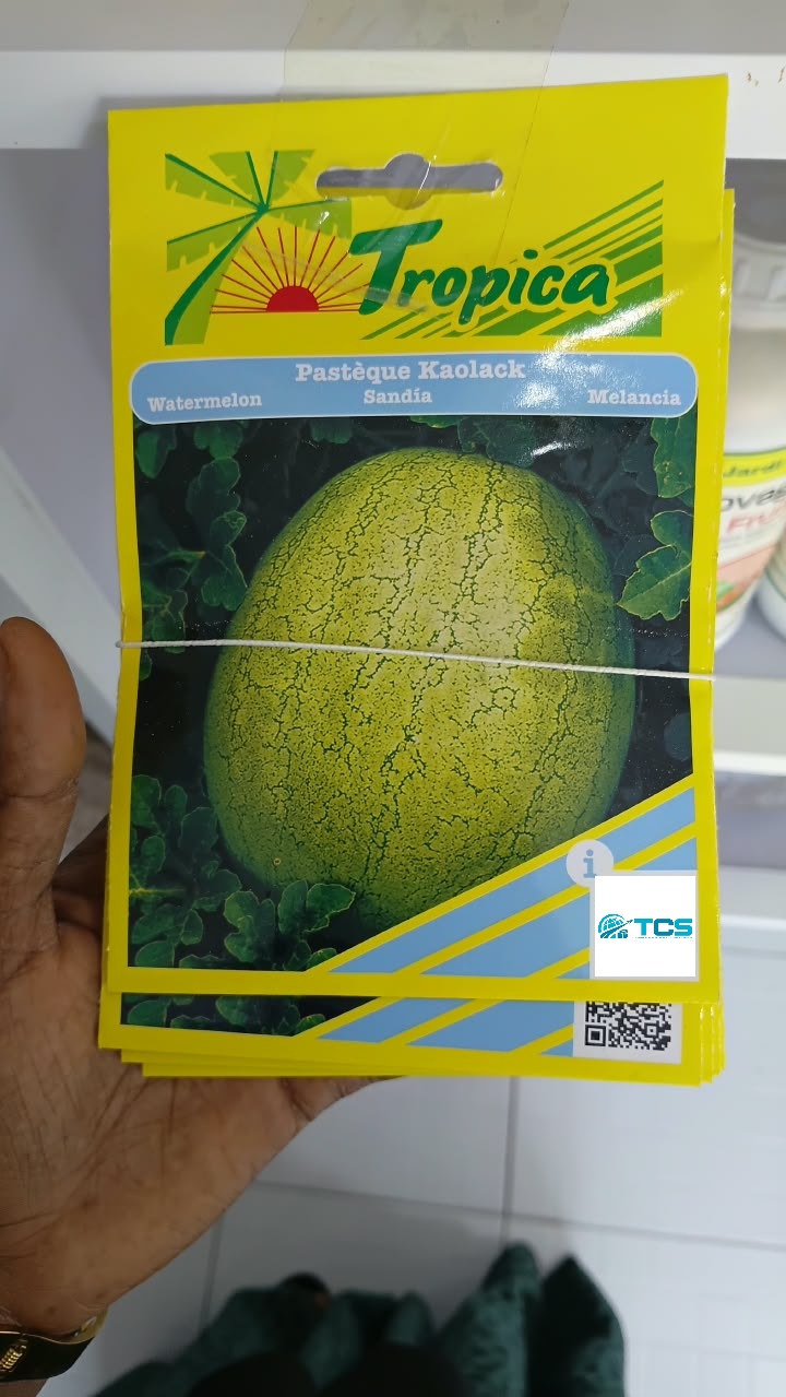 Pastèque Kaolack