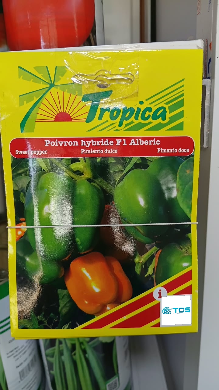 Poivron hybride F1 Alberic