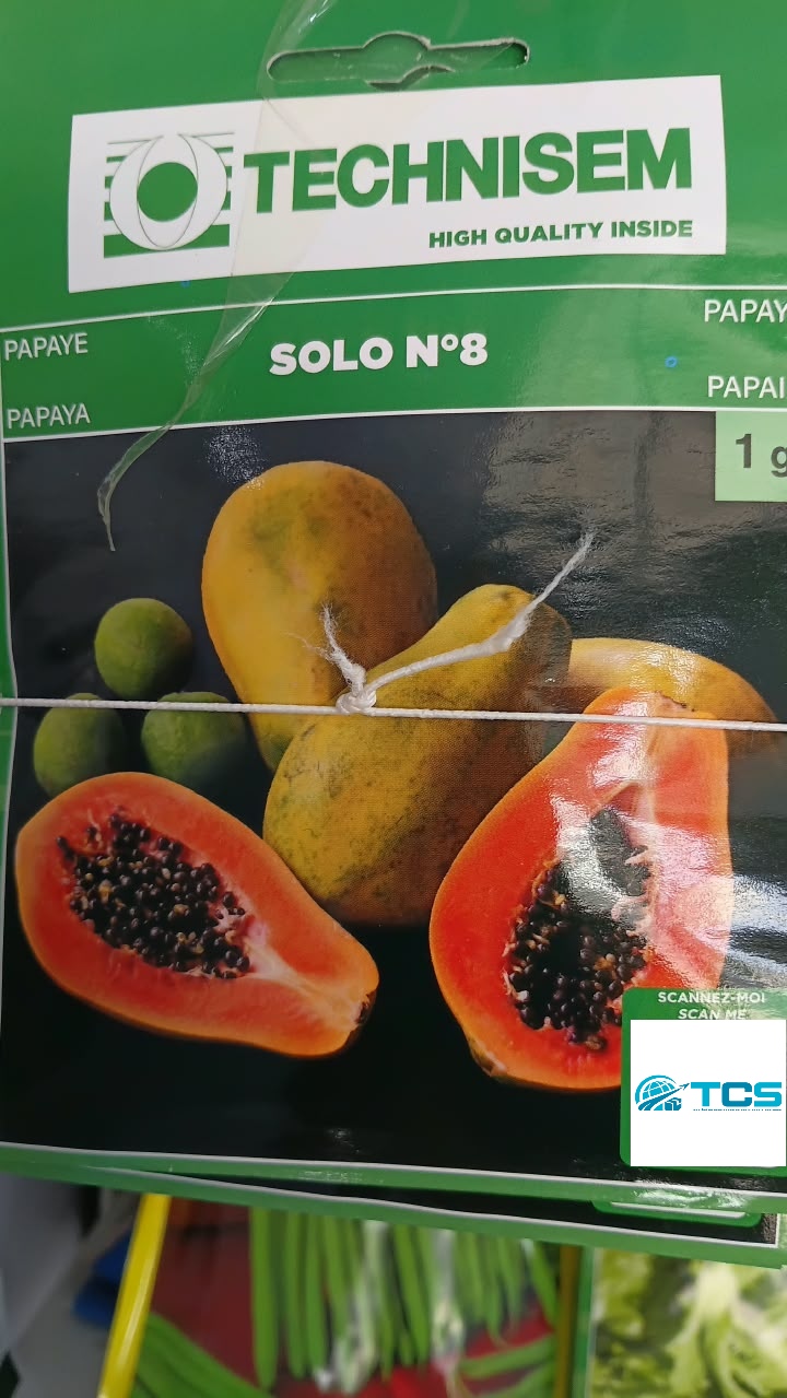 Papaye Solo N°8